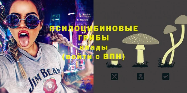 дмт Алзамай